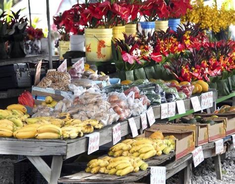 Hilo farmers market - In this video I am at the Hilo, Hawaii Farmers Market where I take a walking tour. This was filmed in June of 2021 during the pandemic. There was always a fu...